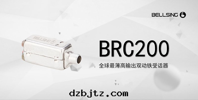 BRC200-5.jpg
